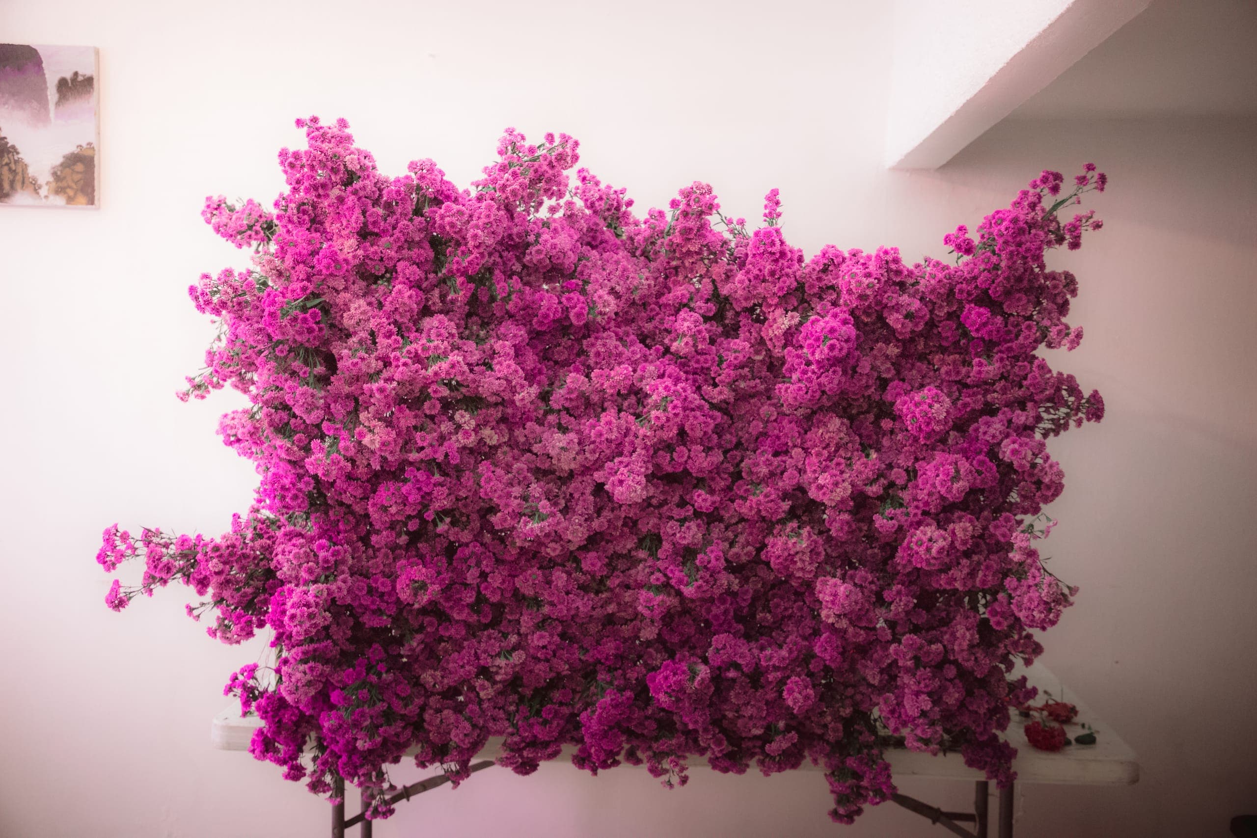 El muro de flores de la sesión, detrás de cámaras