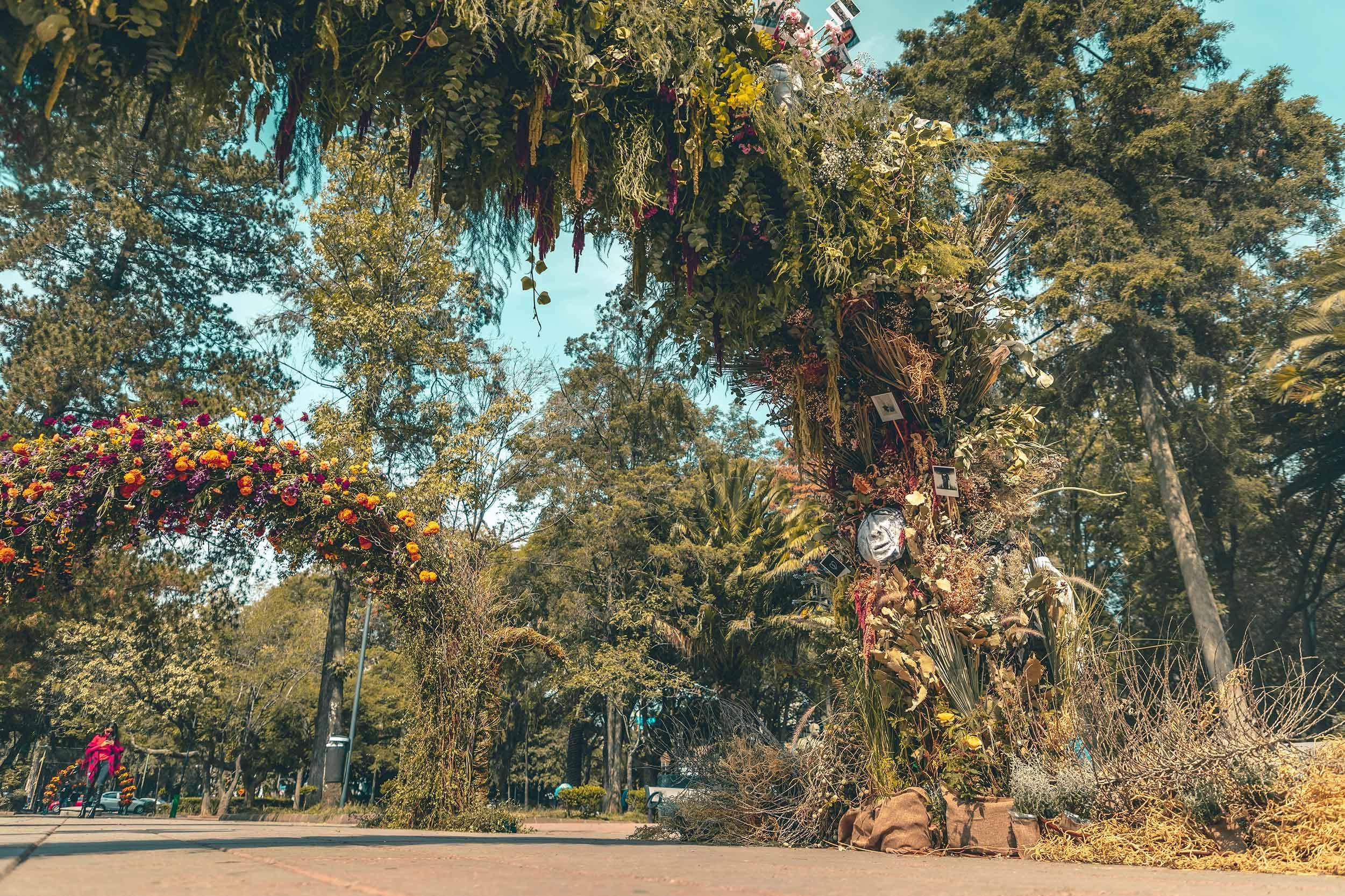 Los arcos de la instalación cruzando el andador del parque
