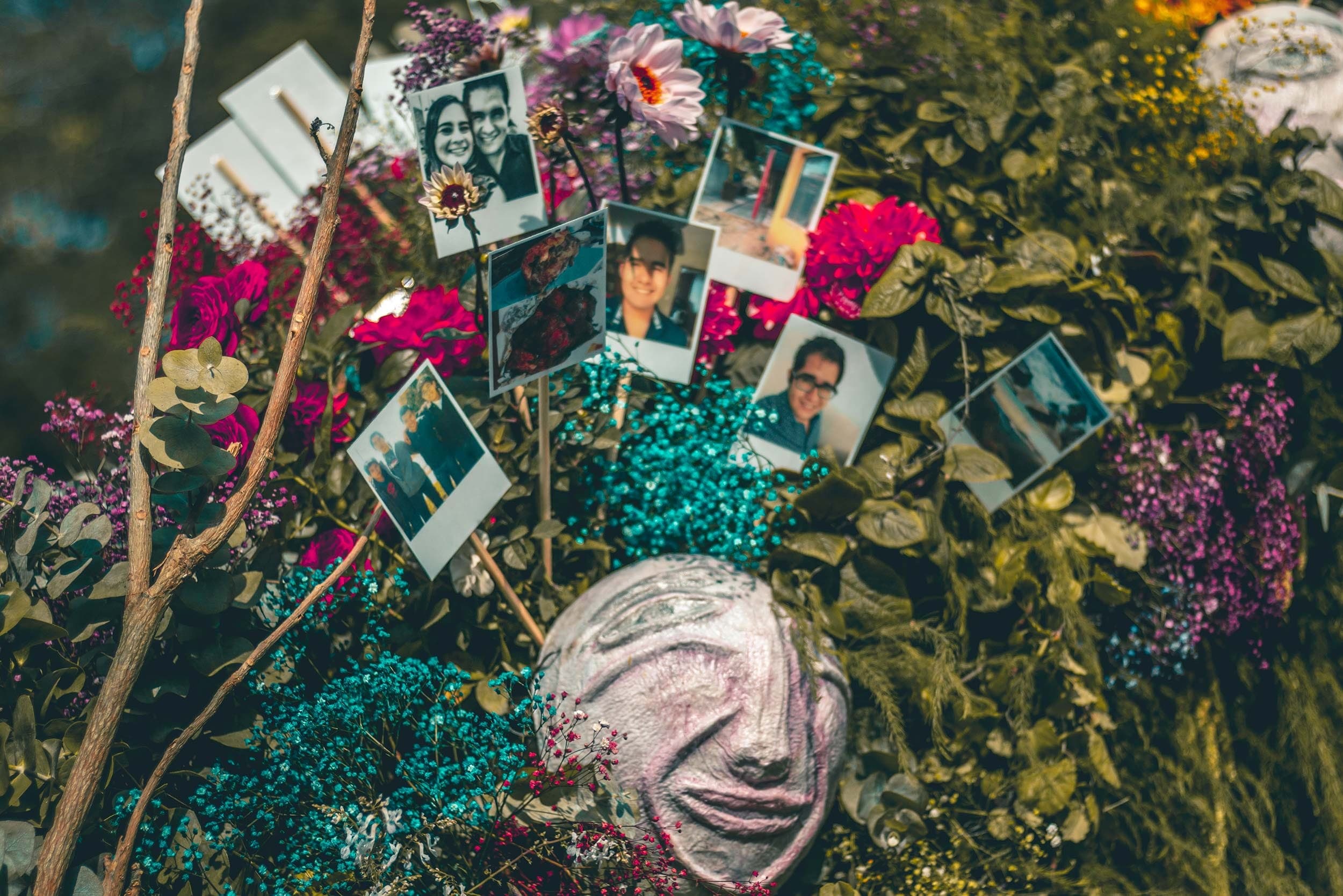 Polaroids de recuerdos entre la flor y el follaje