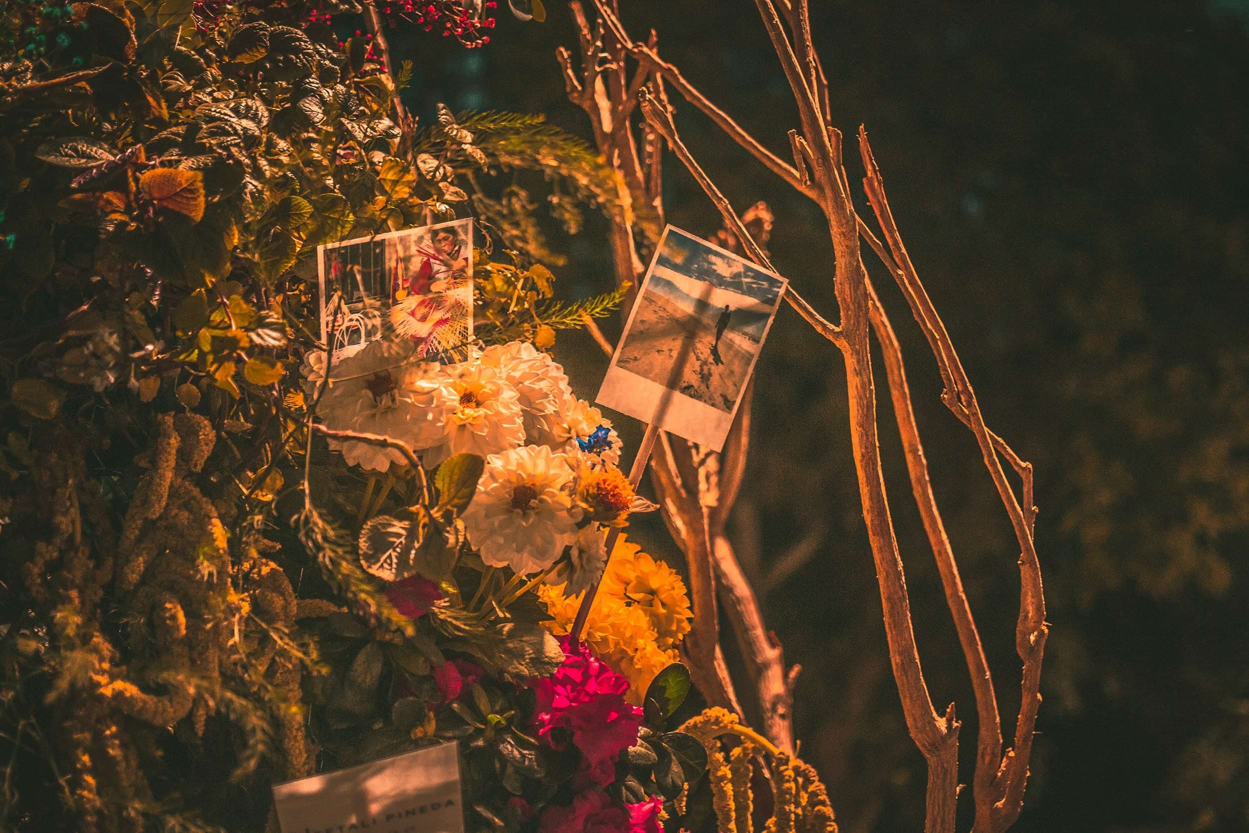 Flores y polaroids de la instalación iluminadas de noche