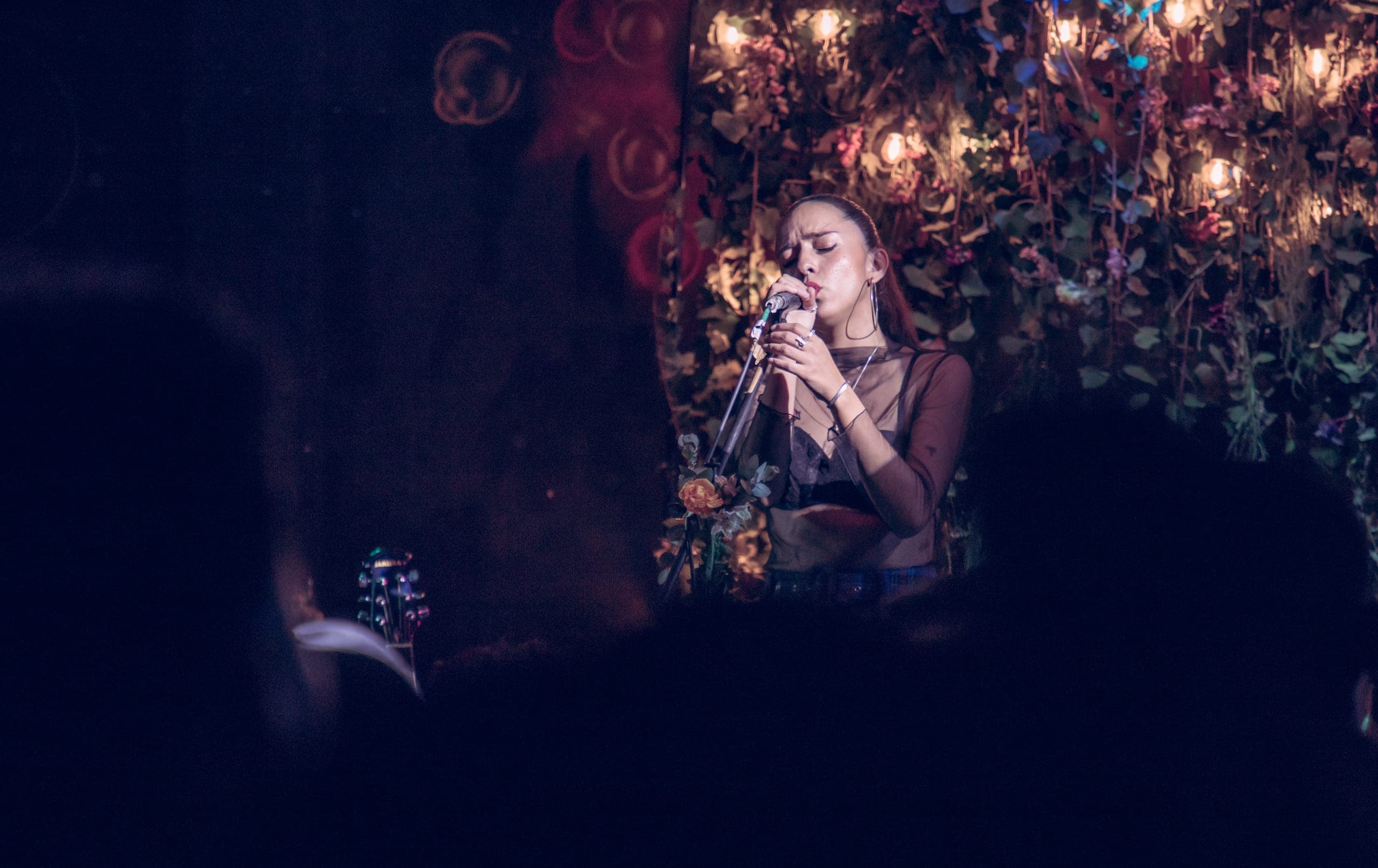 La cantante entre el público, con el escenario ambientado de fondo